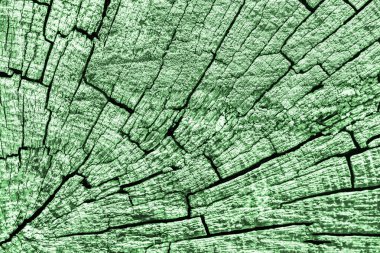 Eski kırık çürük güdük üst yüzey Kelly yeşil doku yıpranmış