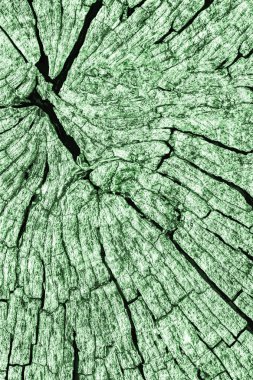 Eski kırık çürük güdük üst yüzey Kelly yeşil doku yıpranmış