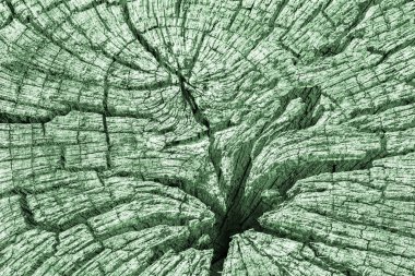 Eski kırık çürük güdük üst yüzey Kelly yeşil doku yıpranmış