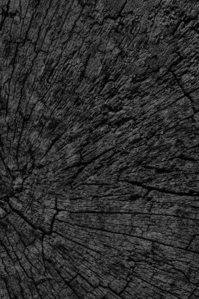 Old Weathered Cracked Rotten Stump Top Surface Black Grunge Texture — Stock Photo, Image