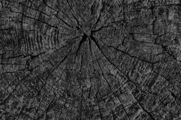 Eski kırık çürük güdük üst yüzey siyah Grunge doku yıpranmış