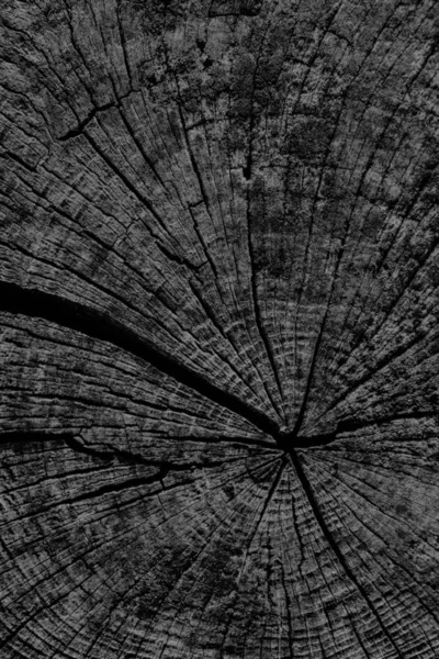 Eski kırık çürük güdük üst yüzey siyah Grunge doku yıpranmış