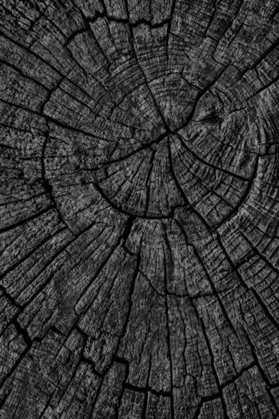 Eski kırık çürük güdük üst yüzey siyah Grunge doku yıpranmış