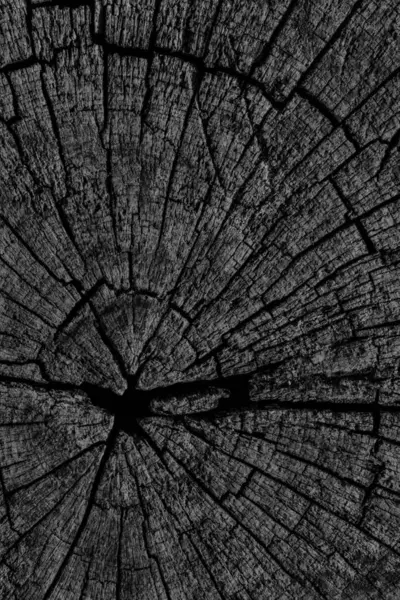 Eski kırık çürük güdük üst yüzey siyah Grunge doku yıpranmış