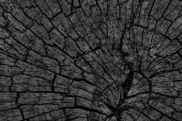 Textura de Grunge preto de superfície superior podre rachada velha do toco — Fotografia de Stock