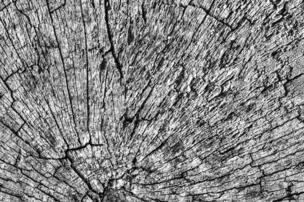 Eski kırık çürük güdük üst yüzey gri doku yıpranmış