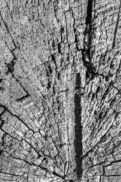 Eski kırık çürük güdük üst yüzey gri doku yıpranmış