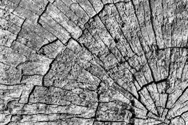 Eski kırık çürük güdük üst yüzey gri doku yıpranmış