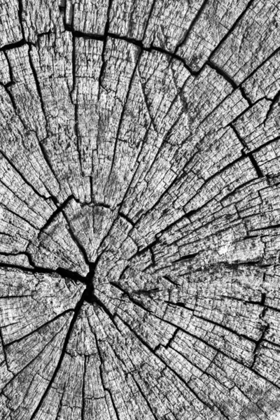 Eski kırık çürük güdük üst yüzey gri doku yıpranmış