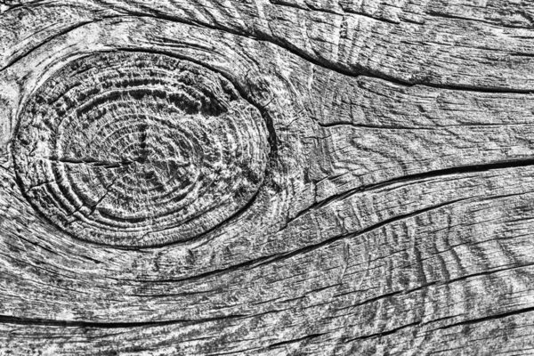 Eski kırık çürük güdük üst yüzey gri doku yıpranmış