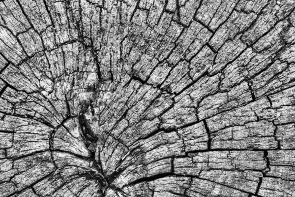 Eski kırık çürük güdük üst yüzey gri doku yıpranmış