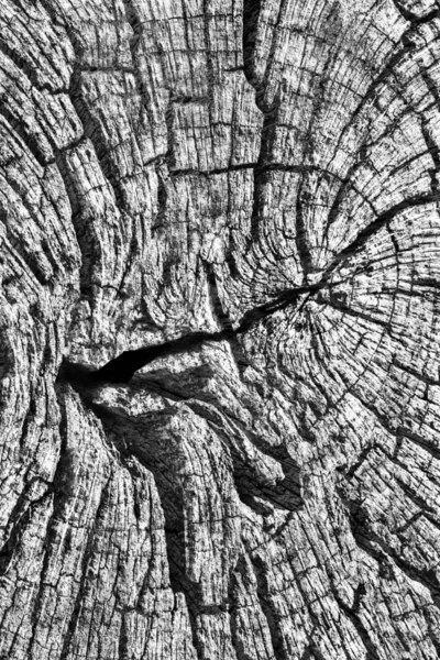 Eski kırık çürük güdük üst yüzey gri doku yıpranmış