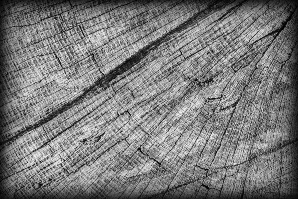 Textura de Grunge Viñeteado Gris Superficie superior de tronco podrido envejecido agrietado —  Fotos de Stock