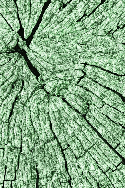 Eski kırık çürük güdük üst yüzey Kelly yeşil doku yıpranmış