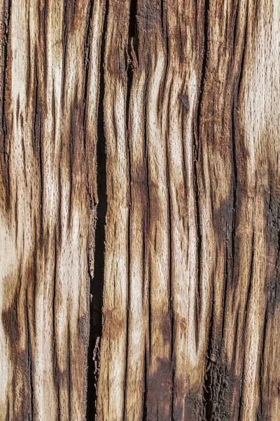 Stare zgniłe wyblakły pęknięty drewnianą Pachołek grubej rowkowane Grunge tekstury — Zdjęcie stockowe