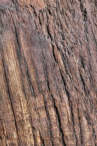 Eski çürümüş kırık demiryolu uyuyan kaba Bitümlü oluklu doku yıpranmış