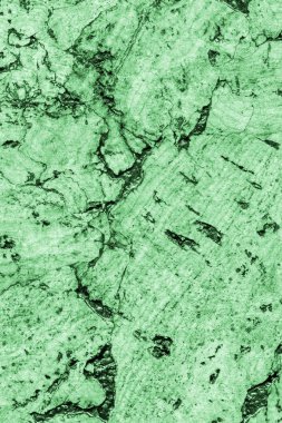 Yeşil mantar döşeme Grunge doku