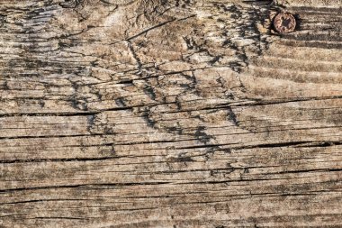 Yıpranmış eski düğümlü çam ahşap döşemeler Grunge doku kırık