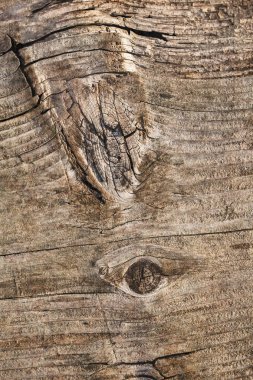 Yıpranmış eski düğümlü çam ahşap döşemeler Grunge doku kırık