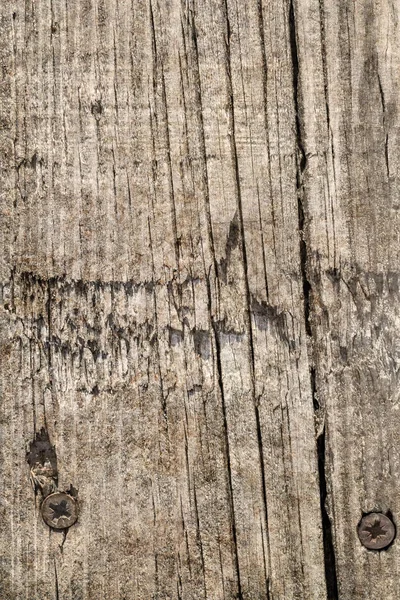 Yıpranmış eski düğümlü çam ahşap döşemeler Grunge doku kırık