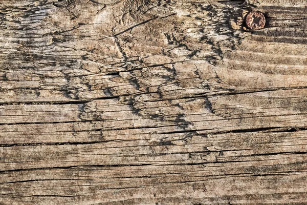 Yıpranmış eski düğümlü çam ahşap döşemeler Grunge doku kırık