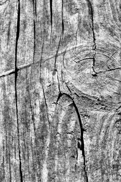 Old Weathered Cracked Knotted Gray Pine Wood Floorboards Grunge Texture — Stock Photo, Image