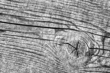 Yıpranmış eski düğümlü gri çam ahşap döşemeler Grunge doku kırık