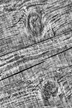 Yıpranmış eski düğümlü gri çam ahşap döşemeler Grunge doku kırık