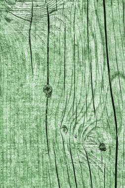 Yıpranmış eski düğümlü Kelly yeşil çam ahşap döşemeler Grunge doku kırık