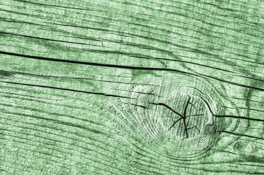 Yıpranmış eski düğümlü Kelly yeşil çam ahşap döşemeler Grunge doku kırık