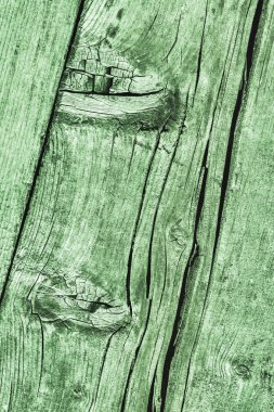 Yıpranmış eski düğümlü Kelly yeşil çam ahşap döşemeler Grunge doku kırık