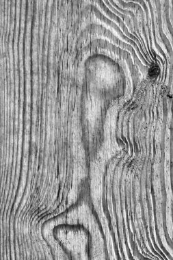 Yıpranmış eski gri çam ahşap tahta Grunge doku dokuma