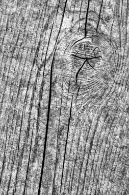 Yıpranmış eski düğümlü gri çam ahşap döşemeler Grunge doku kırık