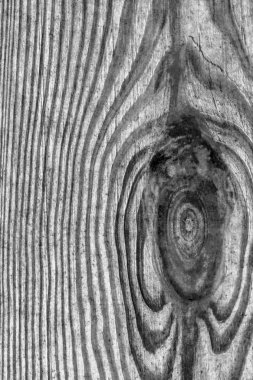 Yıpranmış eski gri çam ahşap tahta Grunge doku dokuma