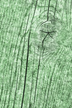 Yıpranmış eski düğümlü Kelly yeşil çam ahşap döşemeler Grunge doku kırık