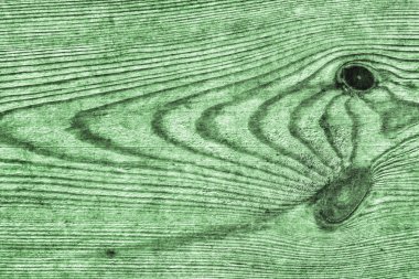 Eski yeşil çam ahşap tahta Grunge doku detay dokuma