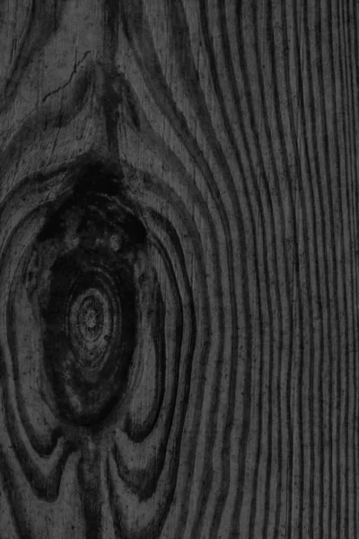Vernikli düğümlü Karaçam ahşap tahta Grunge Tex eski yıpranmış