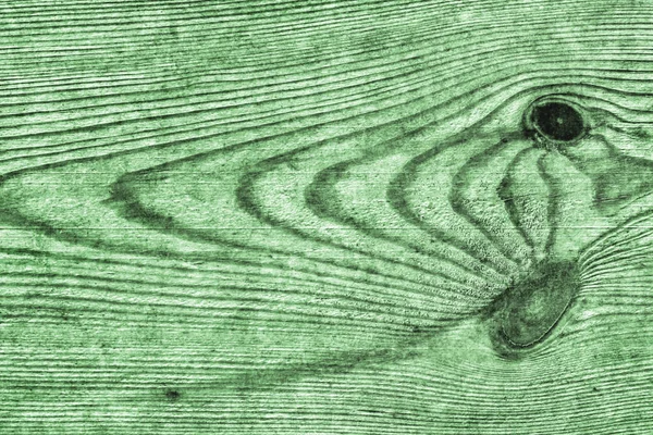 Eski yeşil çam ahşap tahta Grunge doku detay dokuma