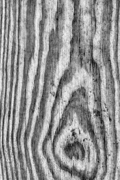 Old Knotted Gray Pine Wood Board Grunge Texture Detail — Stock Photo, Image