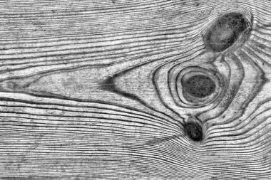 Eski gri çam ahşap tahta Grunge doku detay dokuma