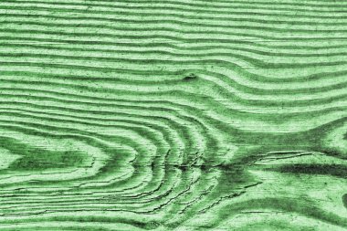 Eski yeşil çam ahşap tahta Grunge doku detay dokuma