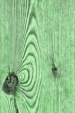 Eski yeşil çam ahşap tahta Grunge doku detay dokuma