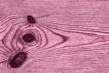 Kırmızı çam ahşap tahta Grunge doku detay eski dokuma