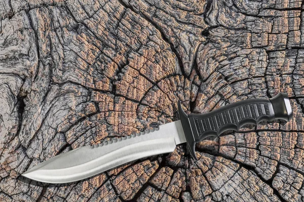 Caça de combate tático Sobrevivência Sawback Bowie Knife Set On Old Weathered Cracked Stump Rústico Superfície superior — Fotografia de Stock