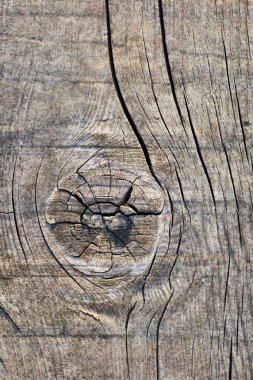 Düğümlü kaba çam ahşap doku çürümüş yıpranmış eski kırık