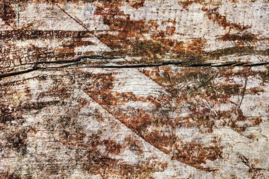 Kaba çam ahşap doku çürümüş yıpranmış eski kırık