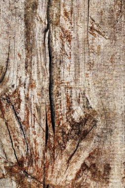 Kaba çam ahşap doku çürümüş yıpranmış eski kırık
