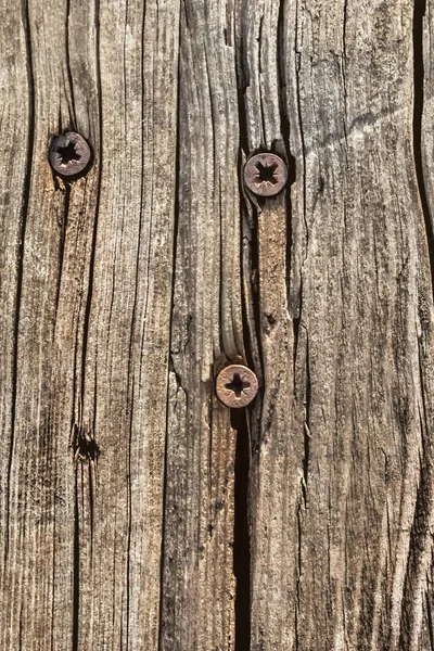 Old Weathered Rotten Cracked Knotted Coarse Pine Wood Grunge Surface With Rusty Phillips Screws Embedded