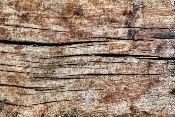 Textura de grunge de madera de pino grueso agrietado podrido envejecido —  Fotos de Stock