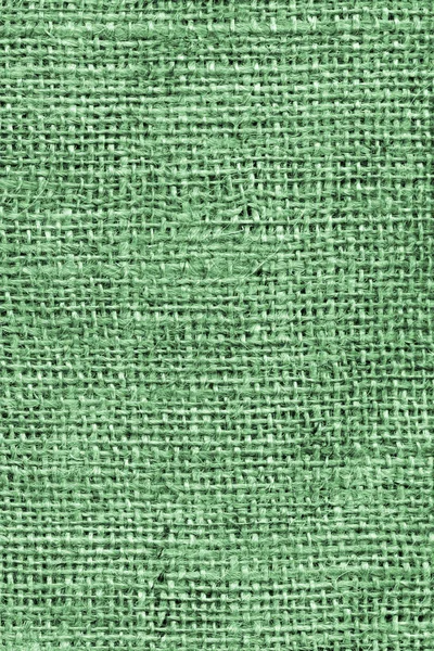 High Resolution Kelly Green Burlap Canvas Coarse Grain Grunge Background Texture — Stock Photo, Image